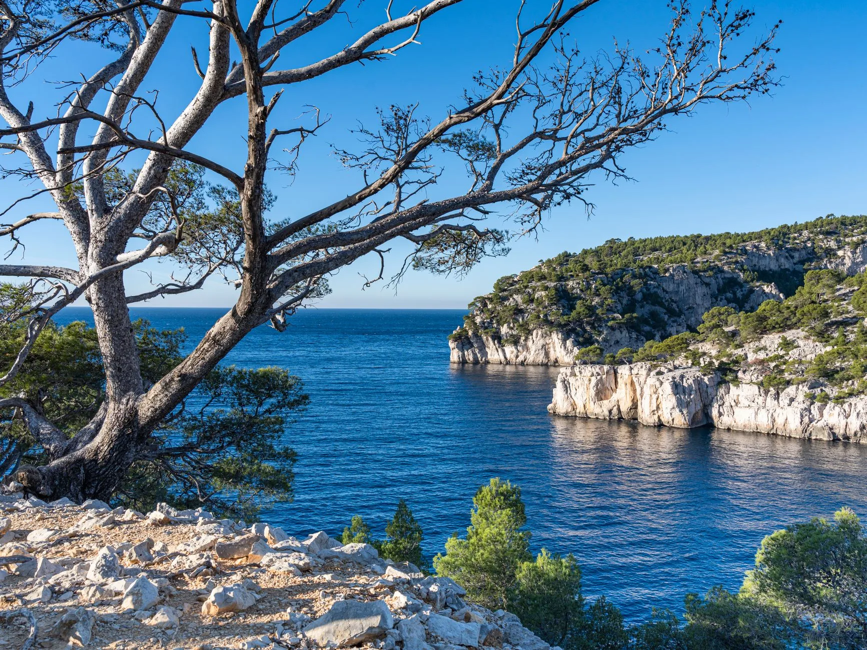 Jour 2 : Cassis et les calanques
